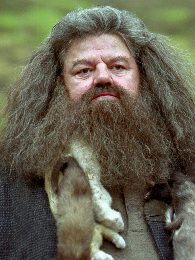 who-is-hagrid-in-harry-potter-harrypotterfansclub