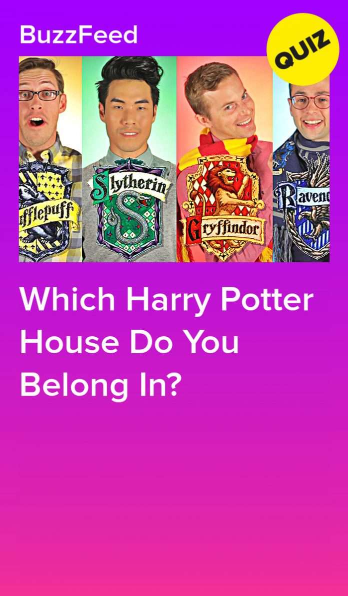 Potter in house do you belong harry which Which Hogwarts